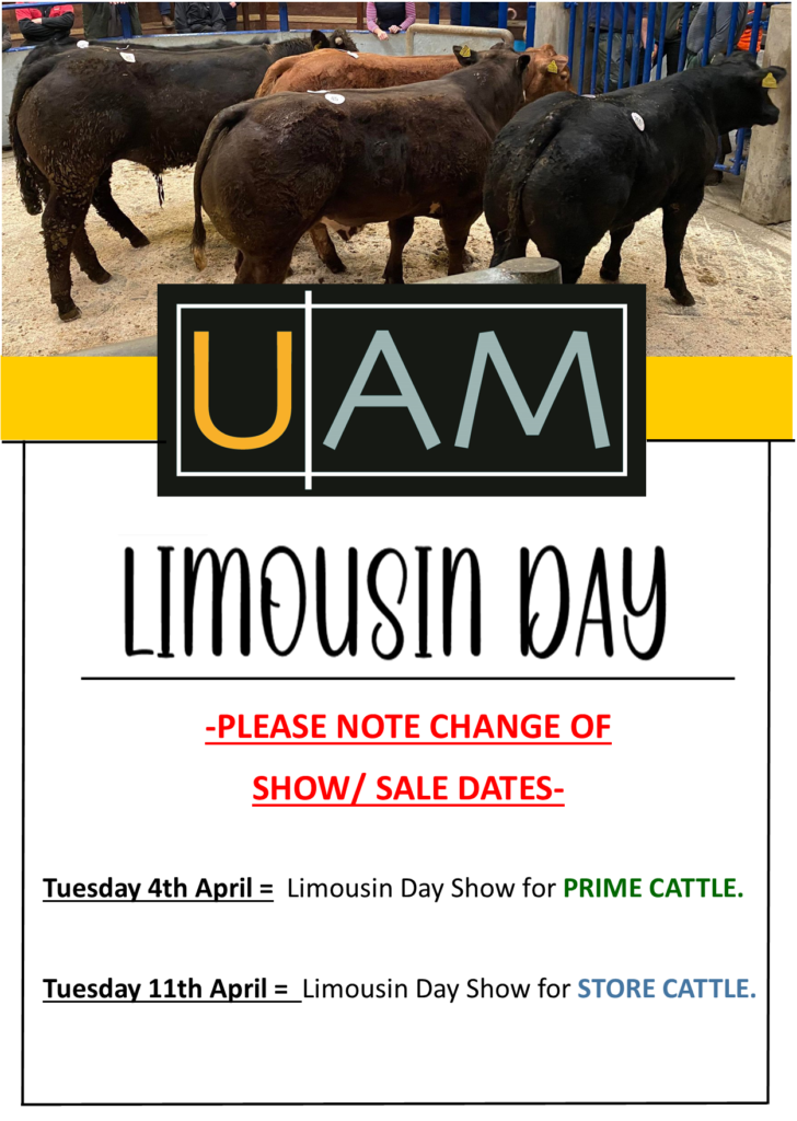 Limousin Day Dates