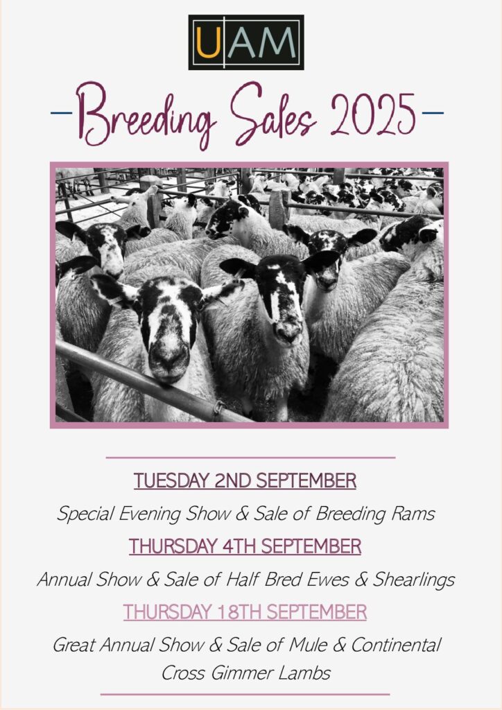 Breeding Sales 2025