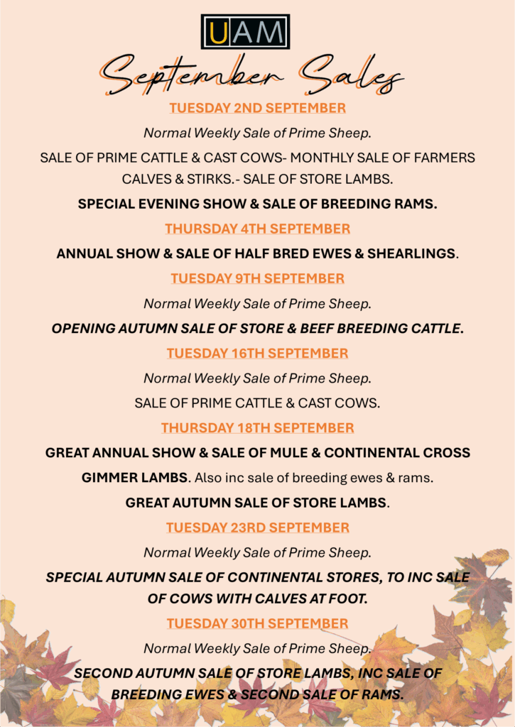 September Sales 2025