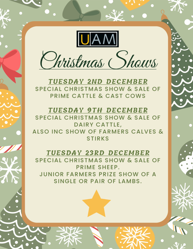 Christmas Shows 2025